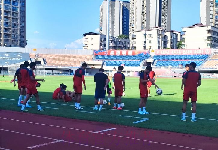 中德足协、德甲联盟召开视讯会议推动视频助理裁判项目合作